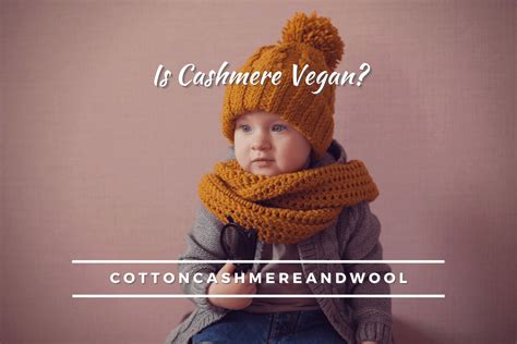 is cashmere vegan.